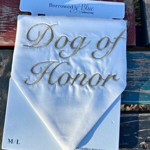 Southern Living White Reversible Pet Bridal Bandana